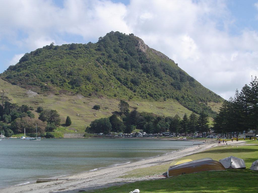 Seagulls Guesthouse Mount Maunganui Ngoại thất bức ảnh